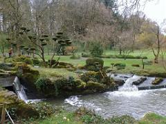 149 PARC ORIENTAL DE MAULEVIER MAINE ET LOIRE 2016 N1_000060